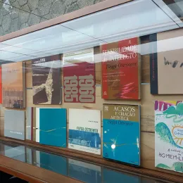 6  out 9 floripa vitrine